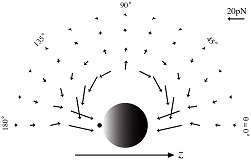 Forces on particles